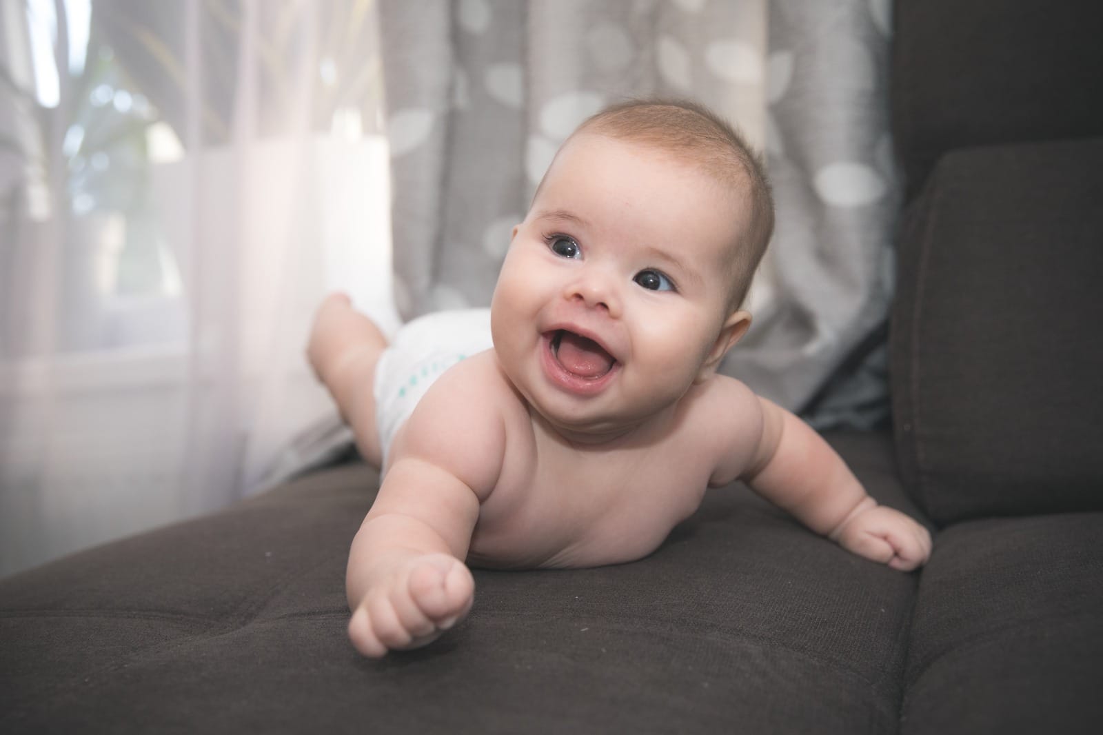 Portofoliu Botez - fotografie 3