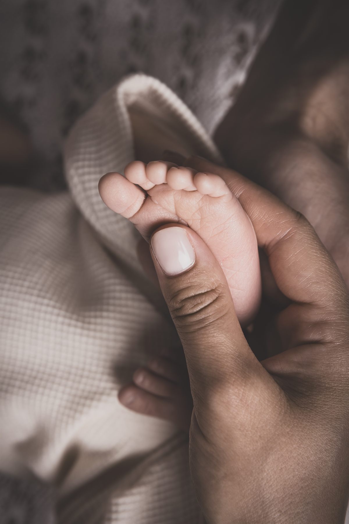 Ședință foto newborn pentru familii din Olcea