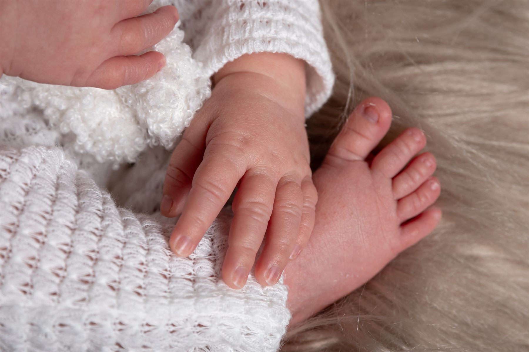 Ședință foto newborn pentru familii din Tarcea